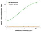 RBBP7 Antibody in Luminex (LUM)