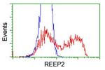 REEP2 Antibody in Flow Cytometry (Flow)