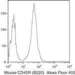 CD45R Antibody in Flow Cytometry (Flow)