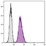 LAMP2 Antibody in Flow Cytometry (Flow)