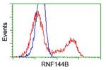 RNF144B Antibody in Flow Cytometry (Flow)