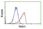 RNH1 Antibody in Flow Cytometry (Flow)