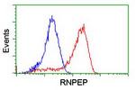 RNPEP Antibody in Flow Cytometry (Flow)