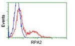 RPA2 Antibody in Flow Cytometry (Flow)