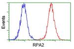 RPA2 Antibody in Flow Cytometry (Flow)