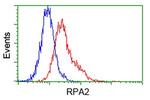 RPA2 Antibody in Flow Cytometry (Flow)