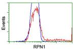 RPN1 Antibody in Flow Cytometry (Flow)