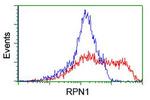 RPN1 Antibody in Flow Cytometry (Flow)