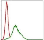 RSK2 Antibody in Flow Cytometry (Flow)