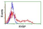 RYBP Antibody in Flow Cytometry (Flow)