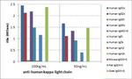 Human Kappa Light Chain Secondary Antibody in ELISA (ELISA)