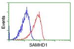 SAMHD1 Antibody in Flow Cytometry (Flow)