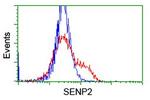 SENP2 Antibody in Flow Cytometry (Flow)