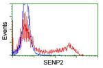 SENP2 Antibody in Flow Cytometry (Flow)