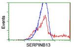 SERPINB13 Antibody in Flow Cytometry (Flow)