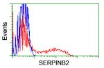 SERPINB2 Antibody in Flow Cytometry (Flow)