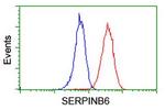 SERPINB6 Antibody in Flow Cytometry (Flow)