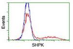 SHPK Antibody in Flow Cytometry (Flow)