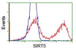SIRT5 Antibody in Flow Cytometry (Flow)
