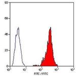 SLA Class I Antibody in Flow Cytometry (Flow)