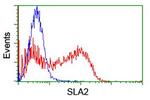 SLA2 Antibody in Flow Cytometry (Flow)