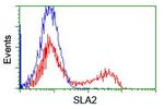 SLA2 Antibody in Flow Cytometry (Flow)