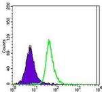 SLC22A1 Antibody in Flow Cytometry (Flow)