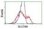 SLC7A8 Antibody in Flow Cytometry (Flow)
