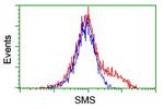 SMS Antibody in Flow Cytometry (Flow)