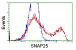 SNAP25 Antibody in Flow Cytometry (Flow)