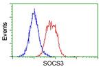 SOCS3 Antibody in Flow Cytometry (Flow)
