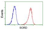 SORD Antibody in Flow Cytometry (Flow)