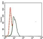 PU.1 Antibody in Flow Cytometry (Flow)