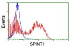 SPINT1 Antibody in Flow Cytometry (Flow)