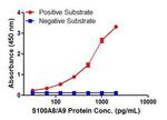 S100A8/A9 Antibody in ELISA (ELISA)