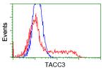 TACC3 Antibody in Flow Cytometry (Flow)