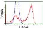 TACC3 Antibody in Flow Cytometry (Flow)