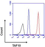 TAF10 Antibody in Flow Cytometry (Flow)