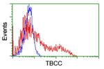 TBCC Antibody in Flow Cytometry (Flow)