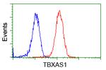 TBXAS Antibody in Flow Cytometry (Flow)
