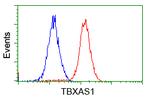 TBXAS Antibody in Flow Cytometry (Flow)