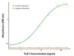 TLE1 Antibody in ELISA (ELISA)