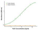 TLE1 Antibody in ELISA (ELISA)