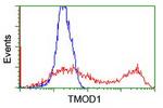 TMOD1 Antibody in Flow Cytometry (Flow)