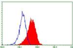 TNFRSF8 Antibody in Flow Cytometry (Flow)