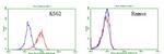 TNFRSF8 Antibody in Flow Cytometry (Flow)