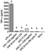 TNF alpha Antibody in ELISA (ELISA)