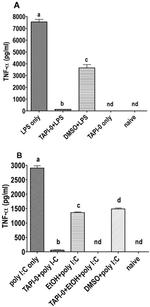 TNF alpha Antibody in ELISA (ELISA)