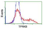 TPRKB Antibody in Flow Cytometry (Flow)