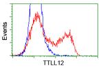 TTLL12 Antibody in Flow Cytometry (Flow)